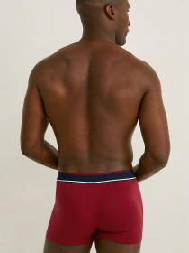 Набор трусов C&A модель 68181 Фото