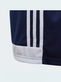 Шорты спортивные Adidas модель DP3172 Фото