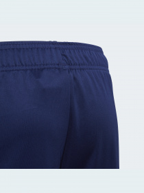 Шорты спортивные Adidas модель DP3172 Фото