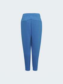 Джоггеры Adidas модель H65362 Фото