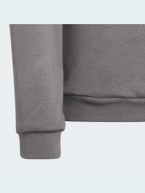 Кофта спортивна Adidas модель H57477 Фото