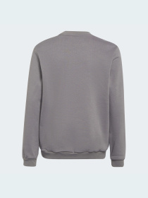 Спортивная кофта Adidas модель H57477 Фото