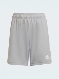 Шорти спортивні Adidas Condivo модель HA3562 Фото