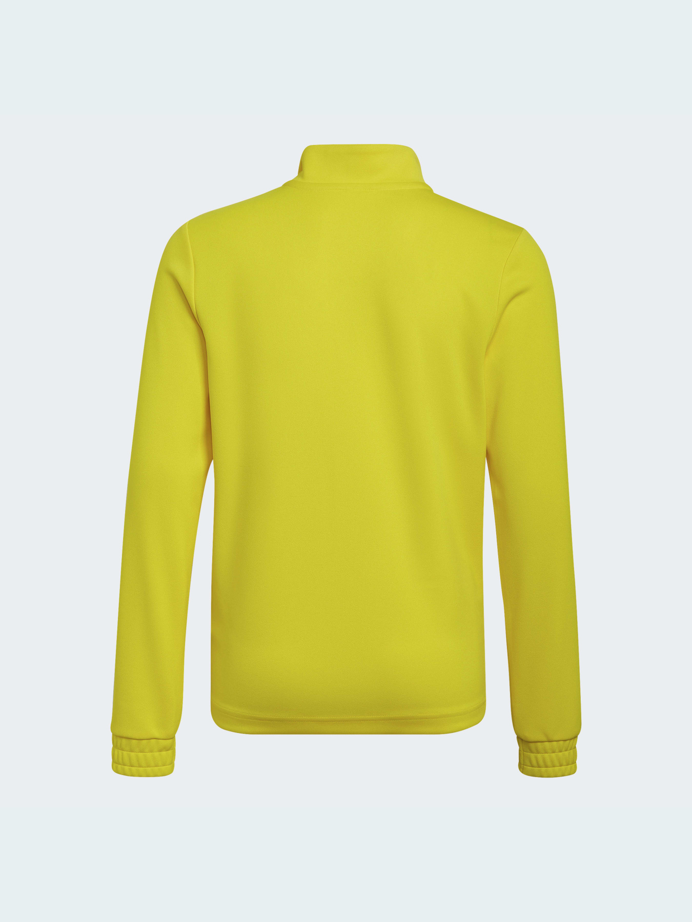 Спортивная кофта Adidas модель HI2133 Фото