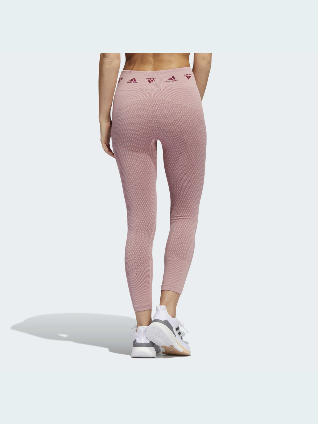 Леггинсы спортивные Adidas Clima модель HD1980 Фото