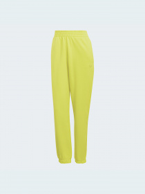 Джоггеры Adidas Adicolor модель HC7098 Фото