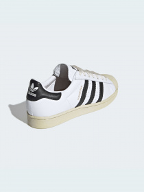 Кеды низкие Adidas Superstar модель FV2831 Фото