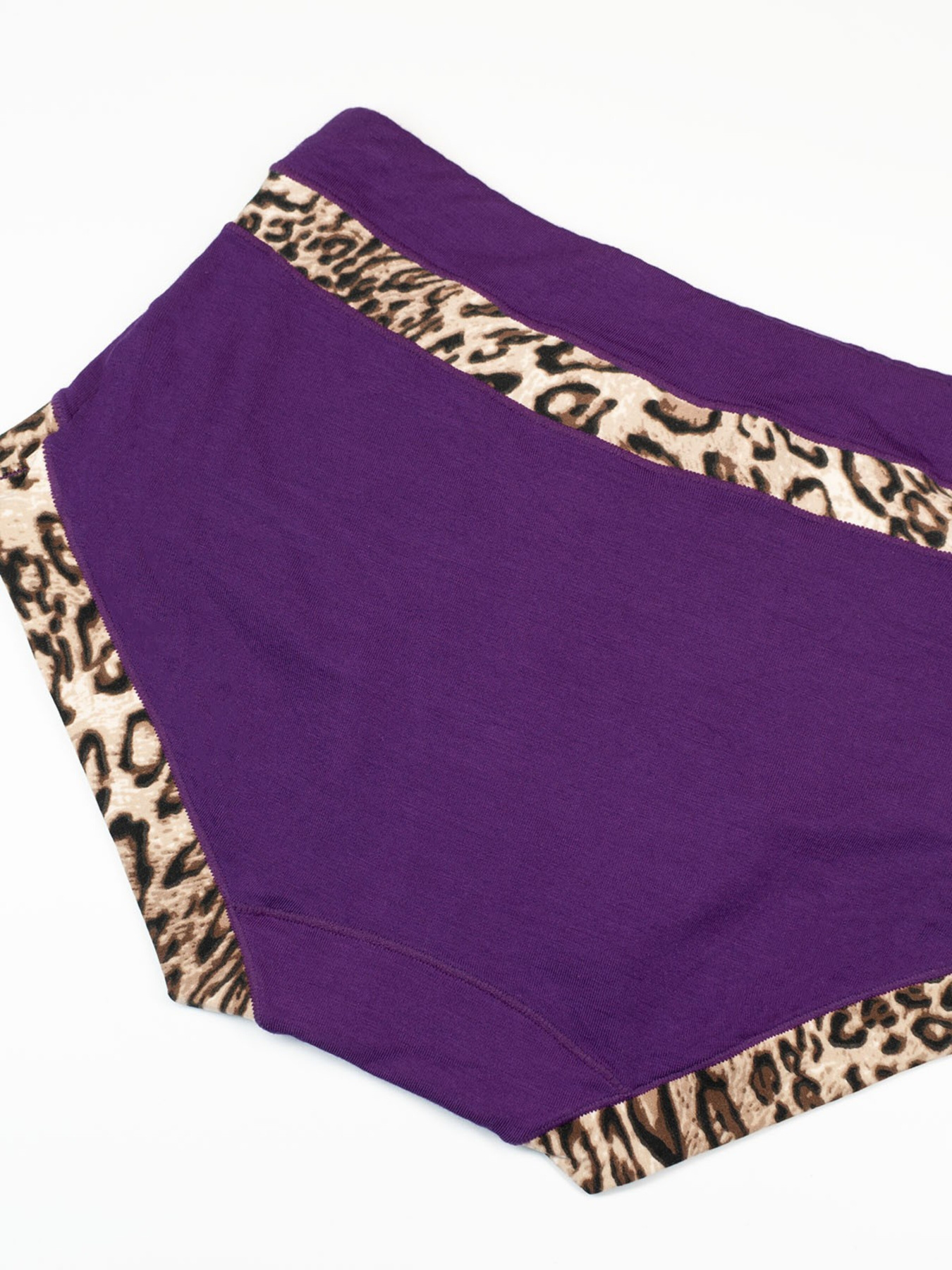 Трусы ISSA Plus модель BL2-690_purple Фото