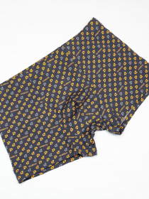 Труси ISSA Plus модель GN5-201_darkgray Фото