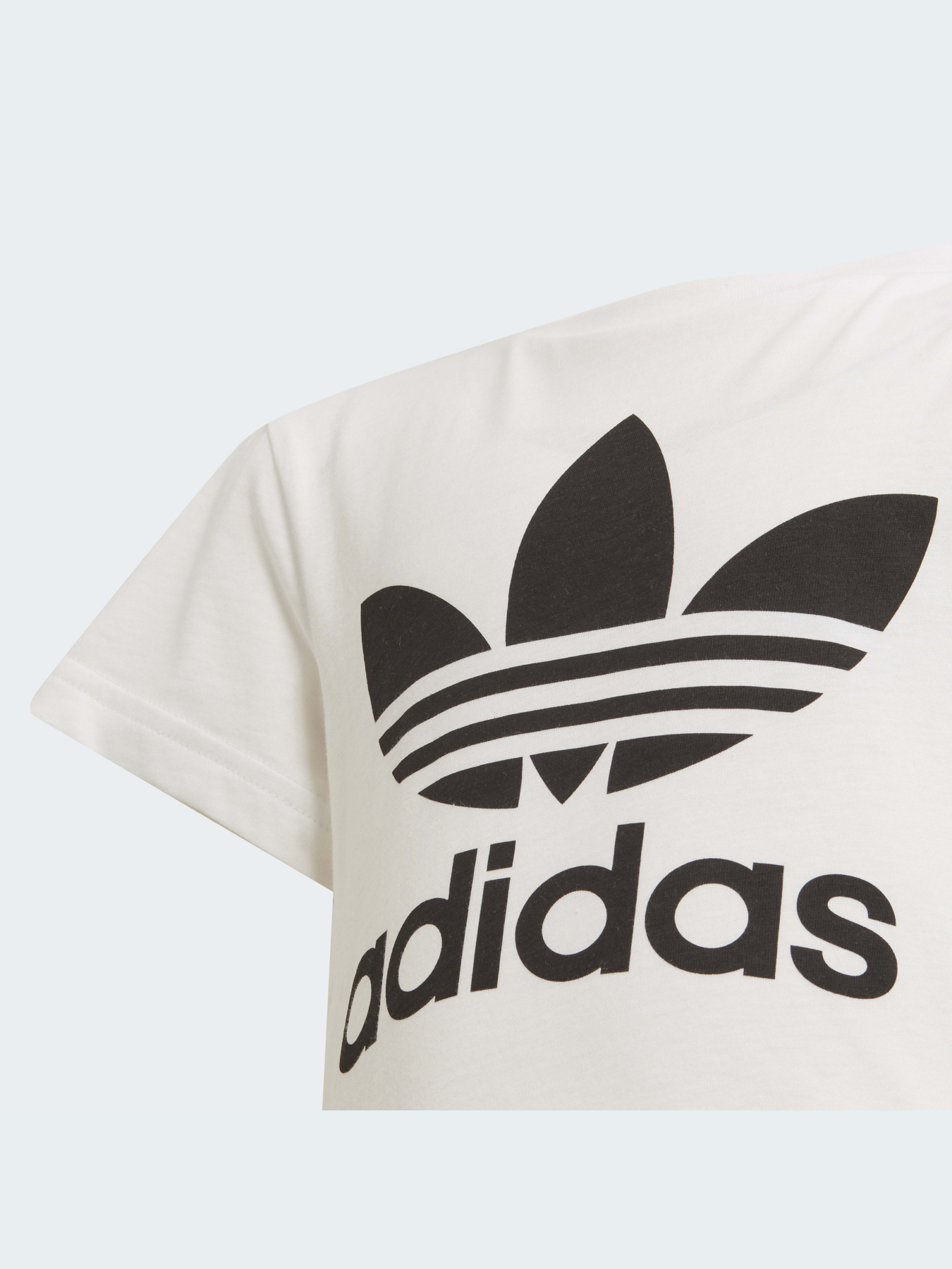 Футболка Adidas Adicolor модель H25246 Фото