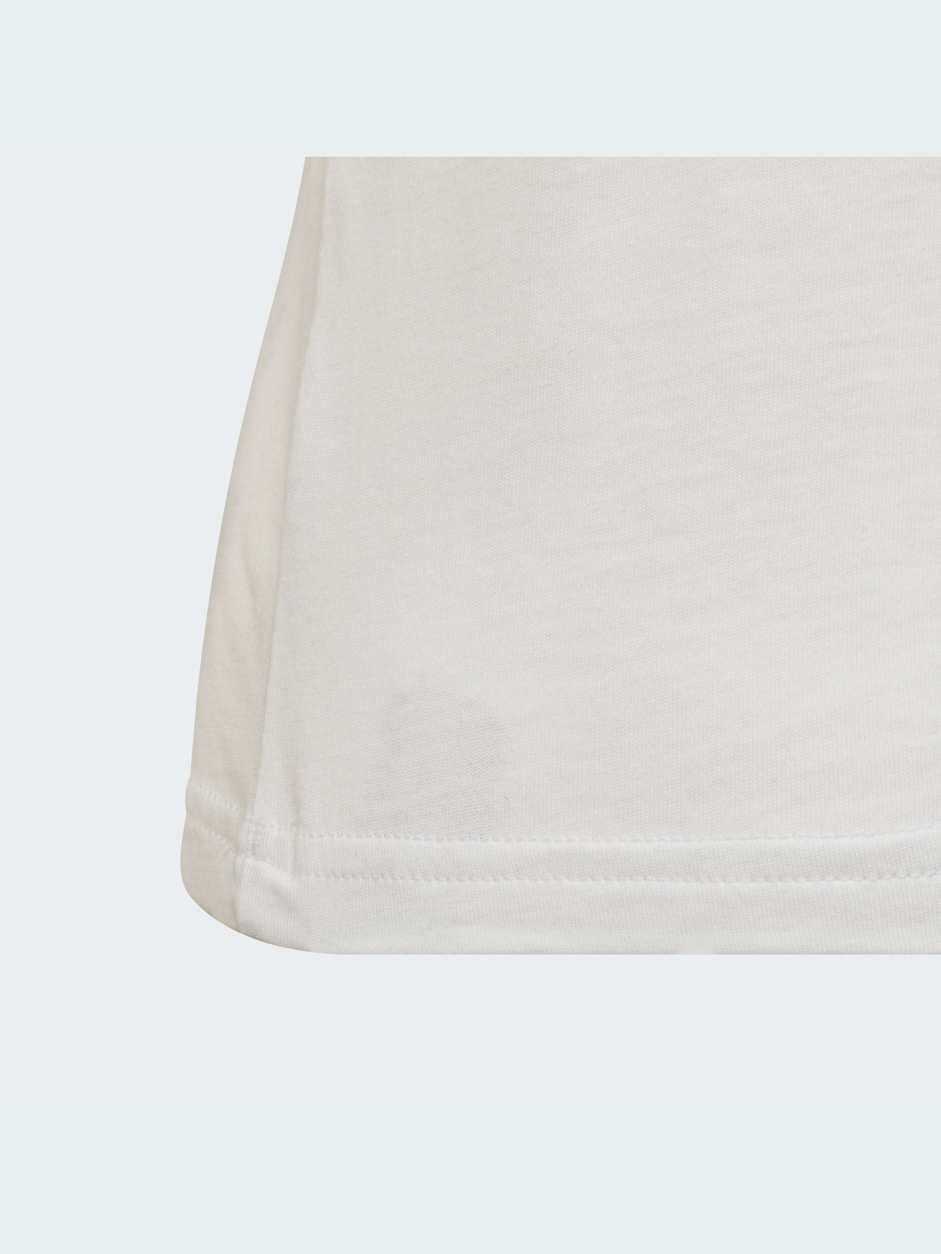 Футболка Adidas Adicolor модель H25246 Фото