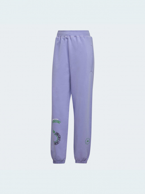 Штаны спортивные Adidas модель IB5908 Фото