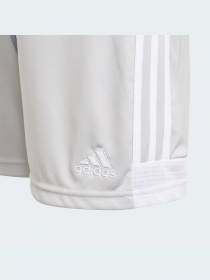 Шорти спортивні Adidas модель GV1623 Фото