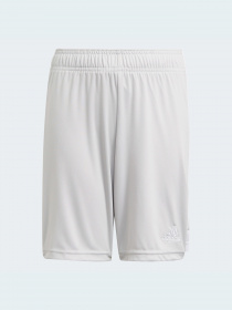 Шорты спортивные Adidas модель GV1623 Фото