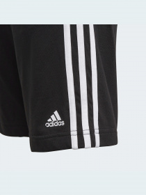 Шорты Adidas модель GN4007 Фото