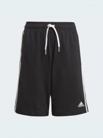 Шорты Adidas модель GN4007 Фото