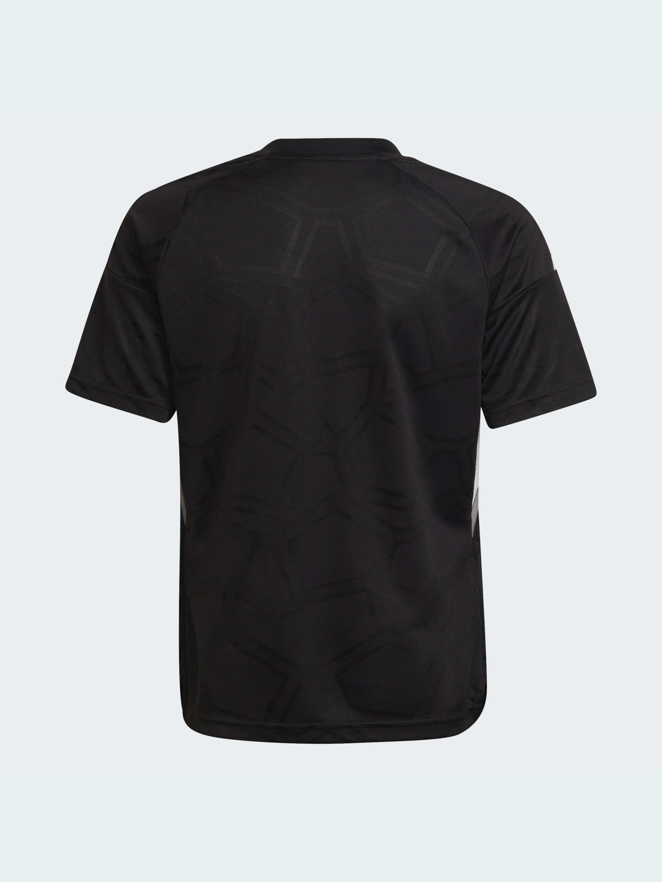 Спортивна футболка Adidas Condivo модель HA3561 Фото