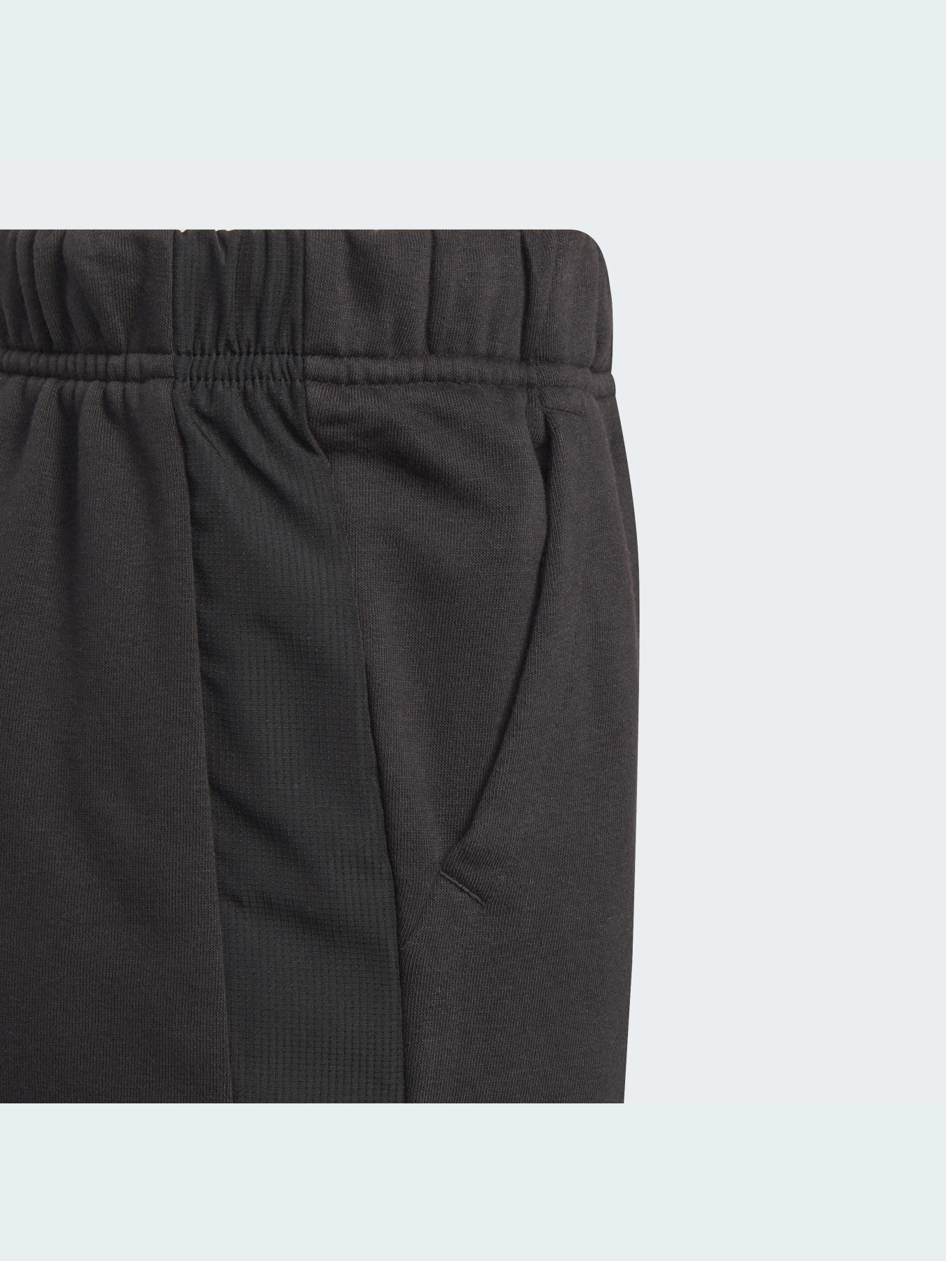 Штаны спортивные Adidas модель GJ6669 Штаны спортивные Adidas модель GJ6669 Фото