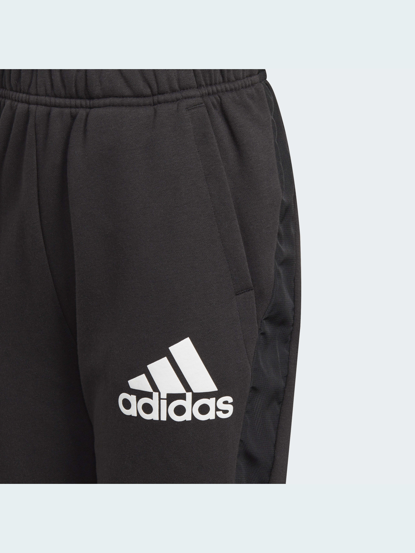 Штаны спортивные Adidas модель GJ6669 Штаны спортивные Adidas модель GJ6669 Фото