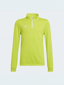 Спортивна кофта Adidas модель HC5060 Фото