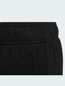 Штаны спортивные Adidas Adicolor модель HB9468 Фото