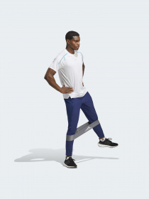 Штаны спортивные Adidas модель IB9040 Фото