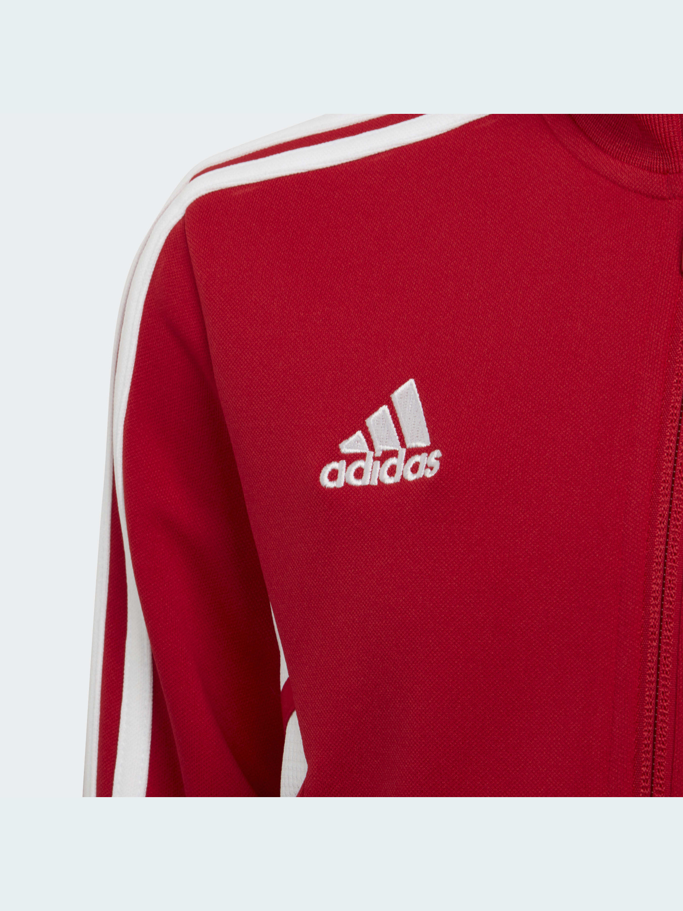 Вітровка Adidas Condivo модель HA6256 Фото