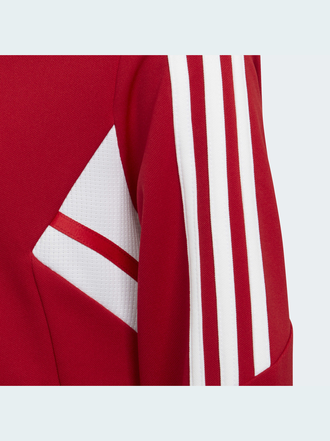 Вітровка Adidas Condivo модель HA6256 Фото