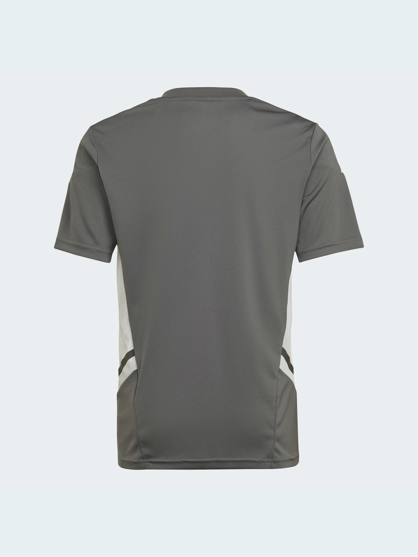 Спортивна футболка Adidas Condivo модель HD2319 Фото