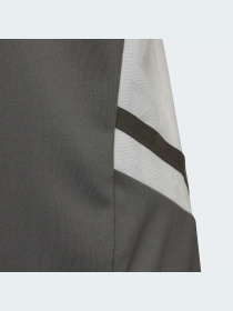 Спортивна футболка Adidas Condivo модель HD2319 Фото