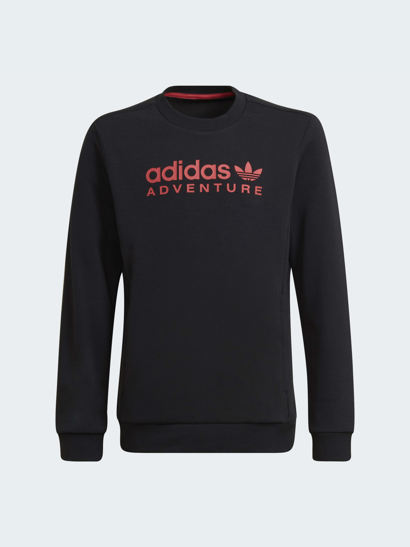 Свитшот Adidas Adventure модель HE2062 Фото