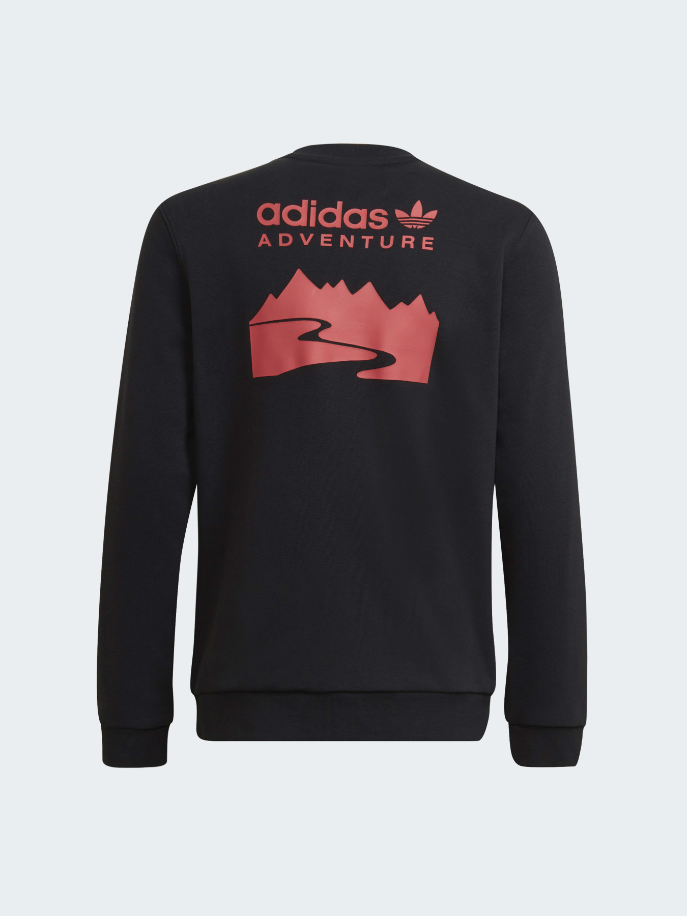 Свитшот Adidas Adventure модель HE2062 Фото