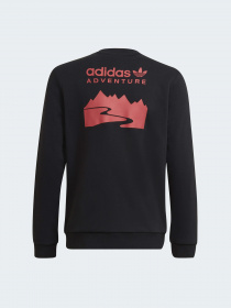 Свитшот Adidas Adventure модель HE2062 Фото