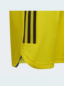 Шорти спортивні Adidas Condivo модель HA3568 Фото