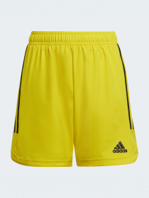 Шорты спортивные Adidas Condivo модель HA3568 Фото