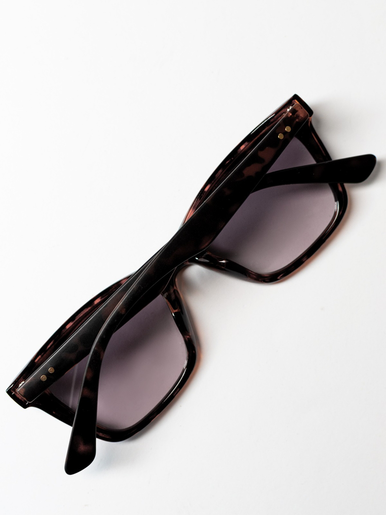 Окуляри ISSA Plus модель O1-74_multicolor Фото