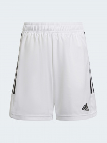 Шорты спортивные Adidas Condivo модель HA3569 Фото