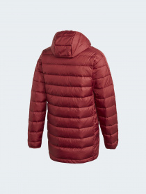 Пуховик Adidas модель GH4606 Фото