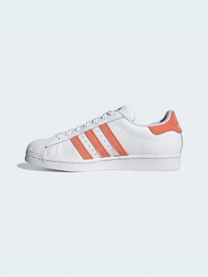 Кеди низькі adidas Superstar модель H00207 — фото 3 - INTERTOP