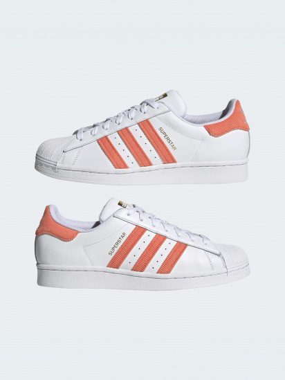 Кеди низькі adidas Superstar модель H00207 — фото 4 - INTERTOP