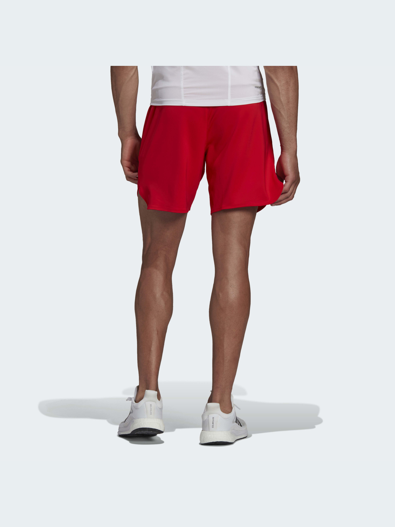 Шорты спортивные Adidas модель HC4242 Фото