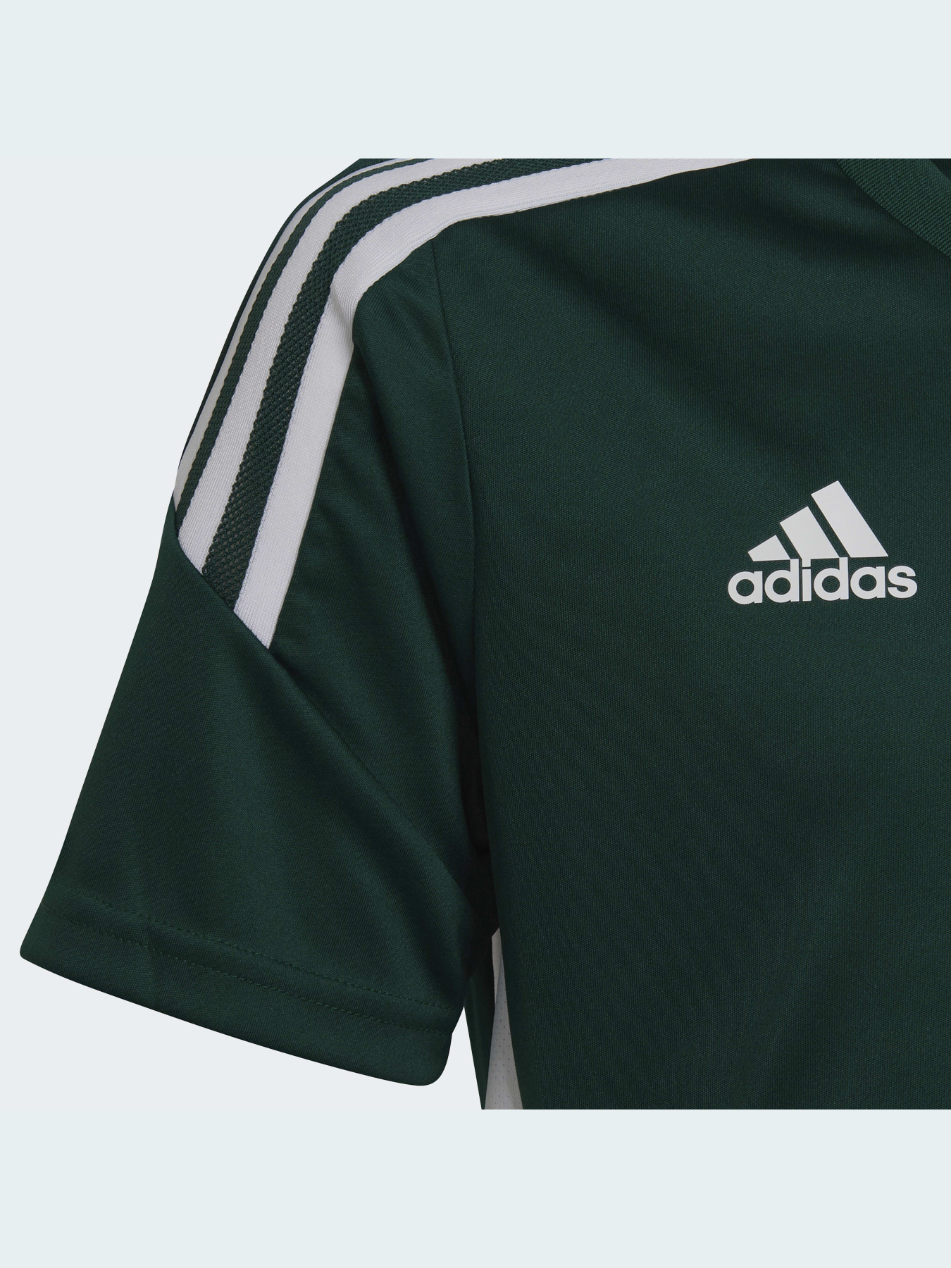 Спортивная футболка Adidas Condivo модель HE3064 Фото