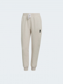 Джоггеры Adidas модель HE2863 Фото