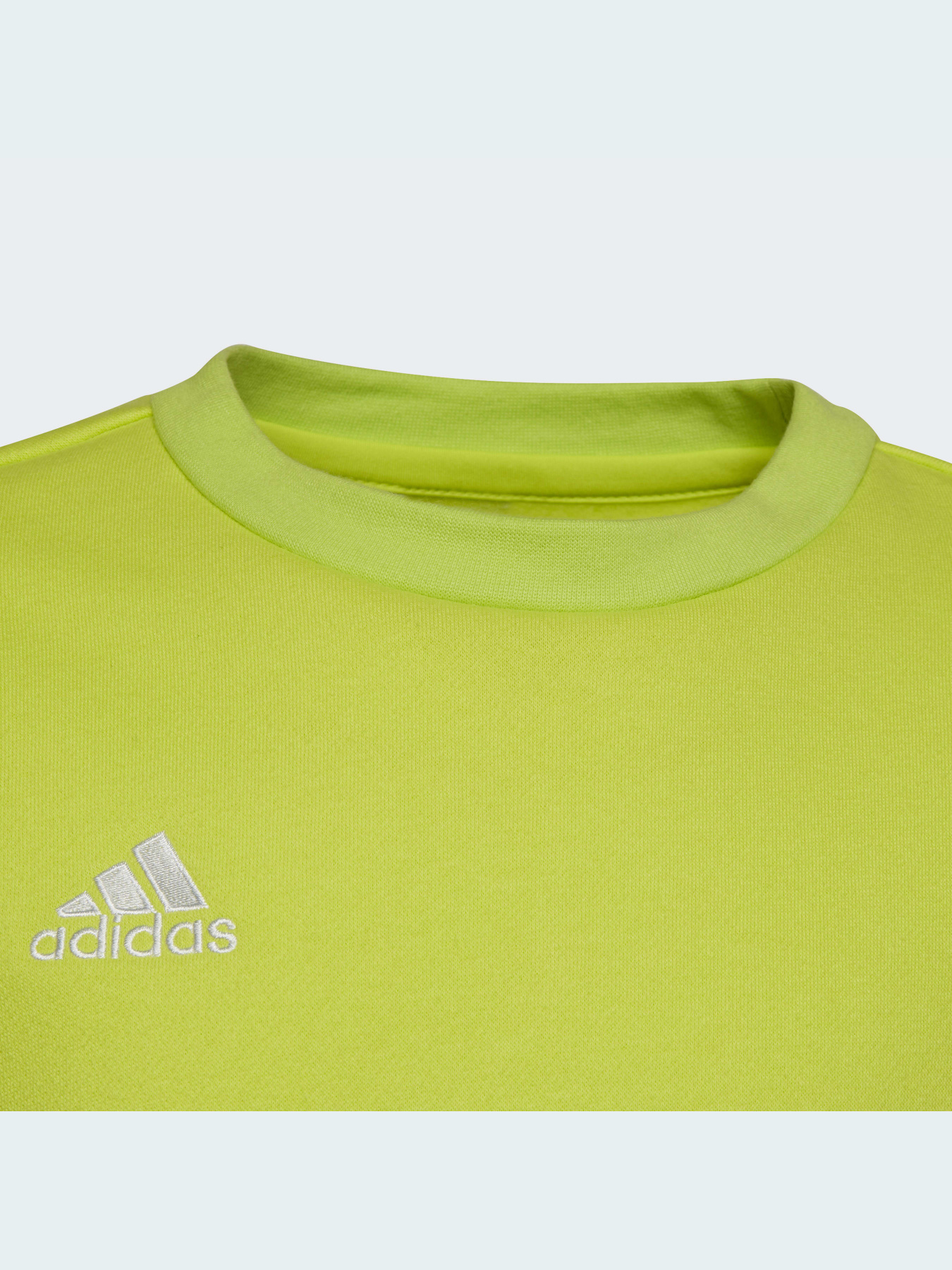 Кофта спортивна Adidas модель HC5043 Фото