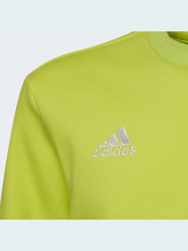 Кофта спортивна Adidas модель HC5043 Фото