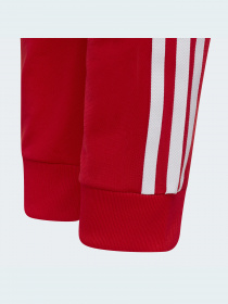 Джогери Adidas Adicolor модель HD2047 Фото