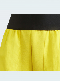 Шорты спортивные Adidas модель GU1864 Фото