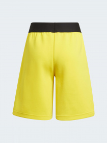 Шорты спортивные Adidas модель GU1864 Фото