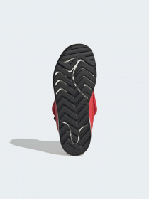 Кеды низкие Adidas Superstar модель S23972 Фото