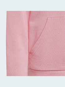 Худи Adidas Adicolor модель HK0271 Фото